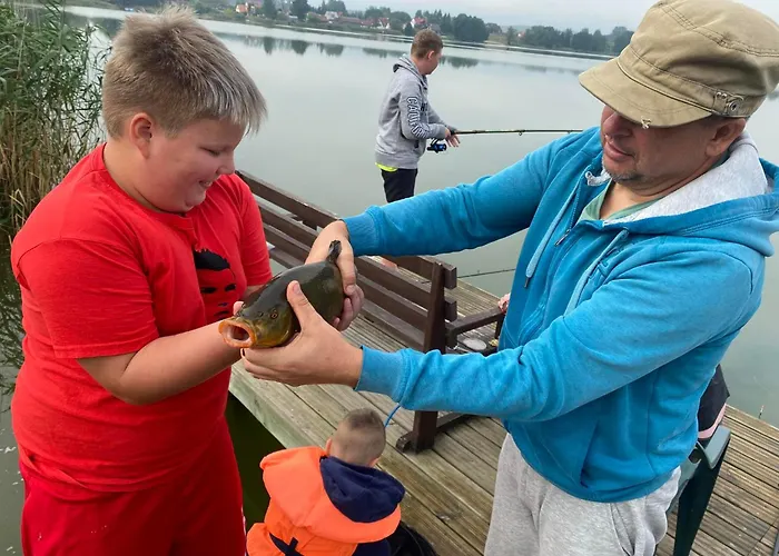 Bed & Breakfast Zelwagi